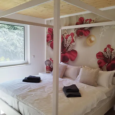 Apprimus - Waldsee Rieden Apartment *